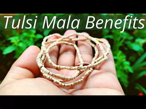tulasi karla|15 Benefits of Wearing Tulsi Mala .